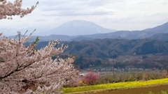 山を望む