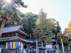 北向観音御開帳