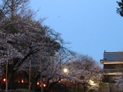 上田城千本桜まつり