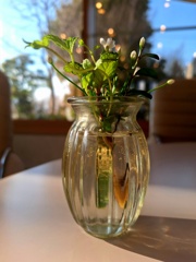 テーブルに花を