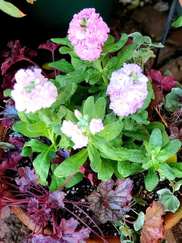 花遊び