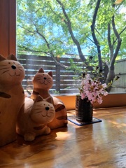 猫ちゃんと相席