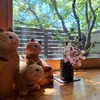 猫ちゃんと相席