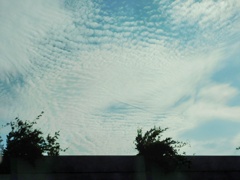 秋空　秋雲