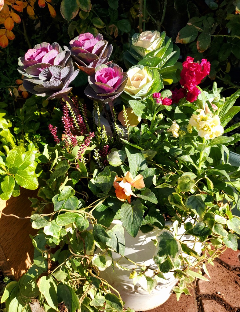 花遊び