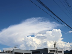 夏空