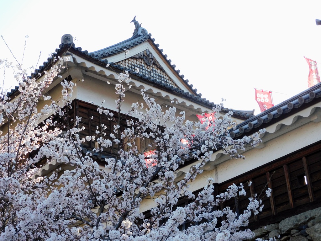櫓に桜