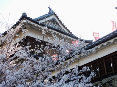櫓に桜
