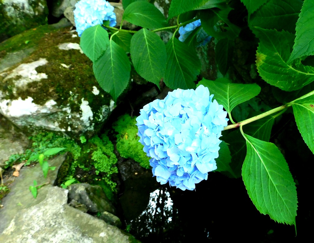 穏やかに