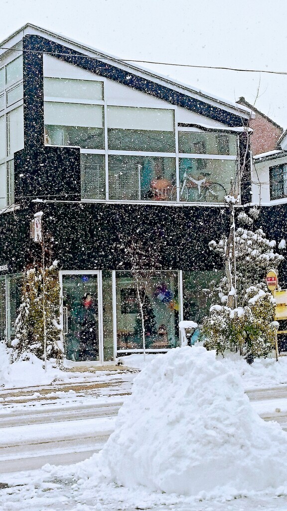 雪が降る