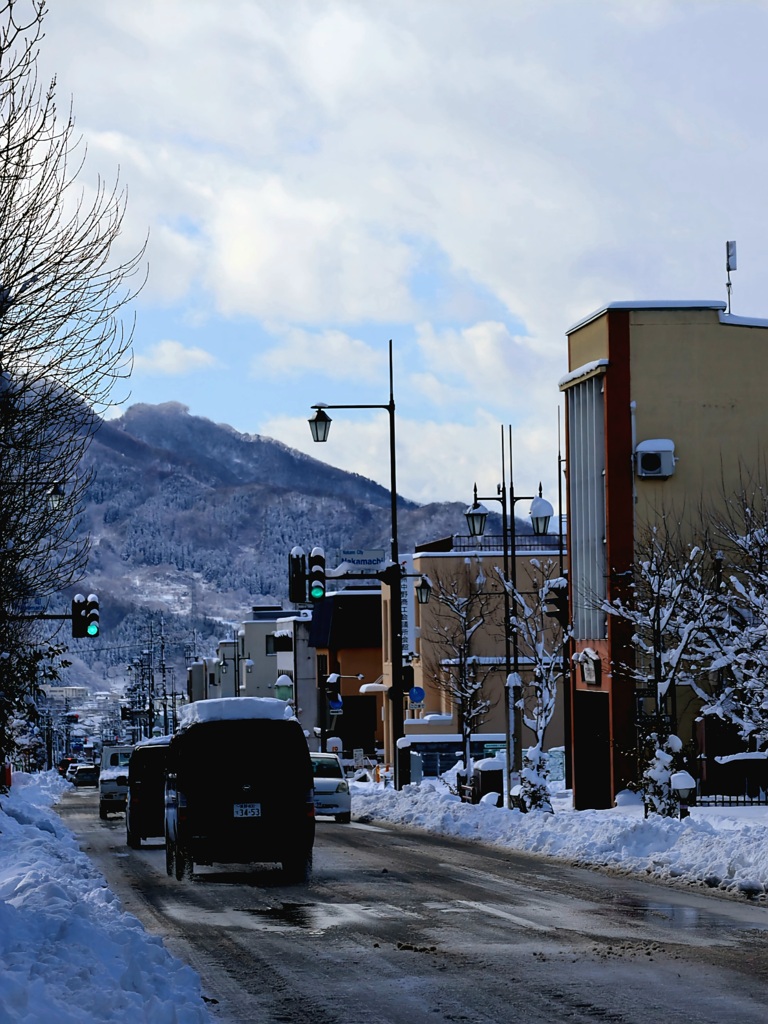 雪が降りました