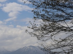 芽吹き