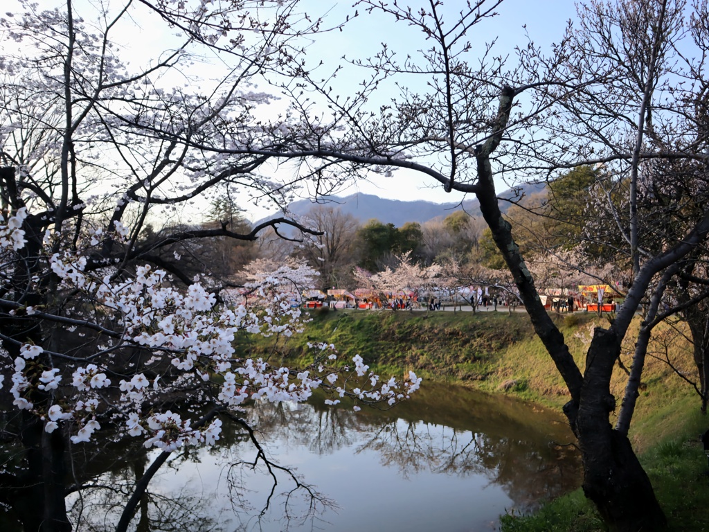 上田城千本桜まつり