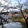 上田城千本桜まつり