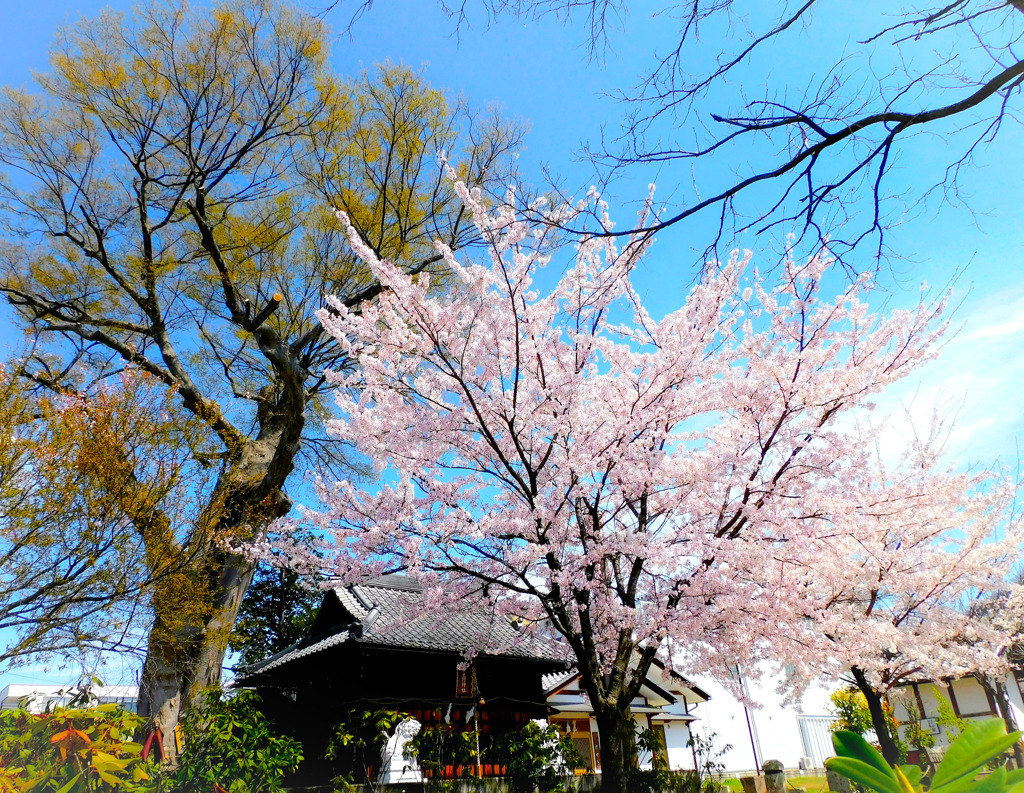 中日野神社