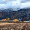 山に雪