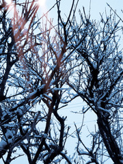 上雪