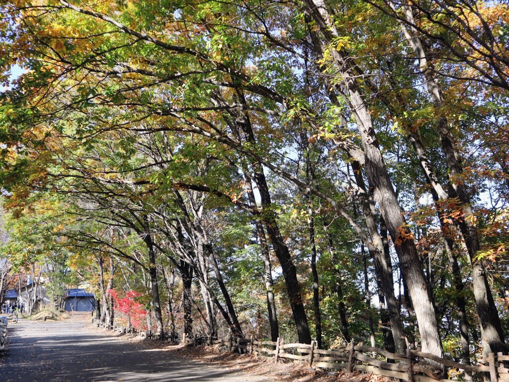 無言館へ続く道