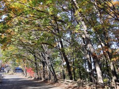 無言館へ続く道