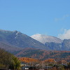 紅葉の向こうに冠雪