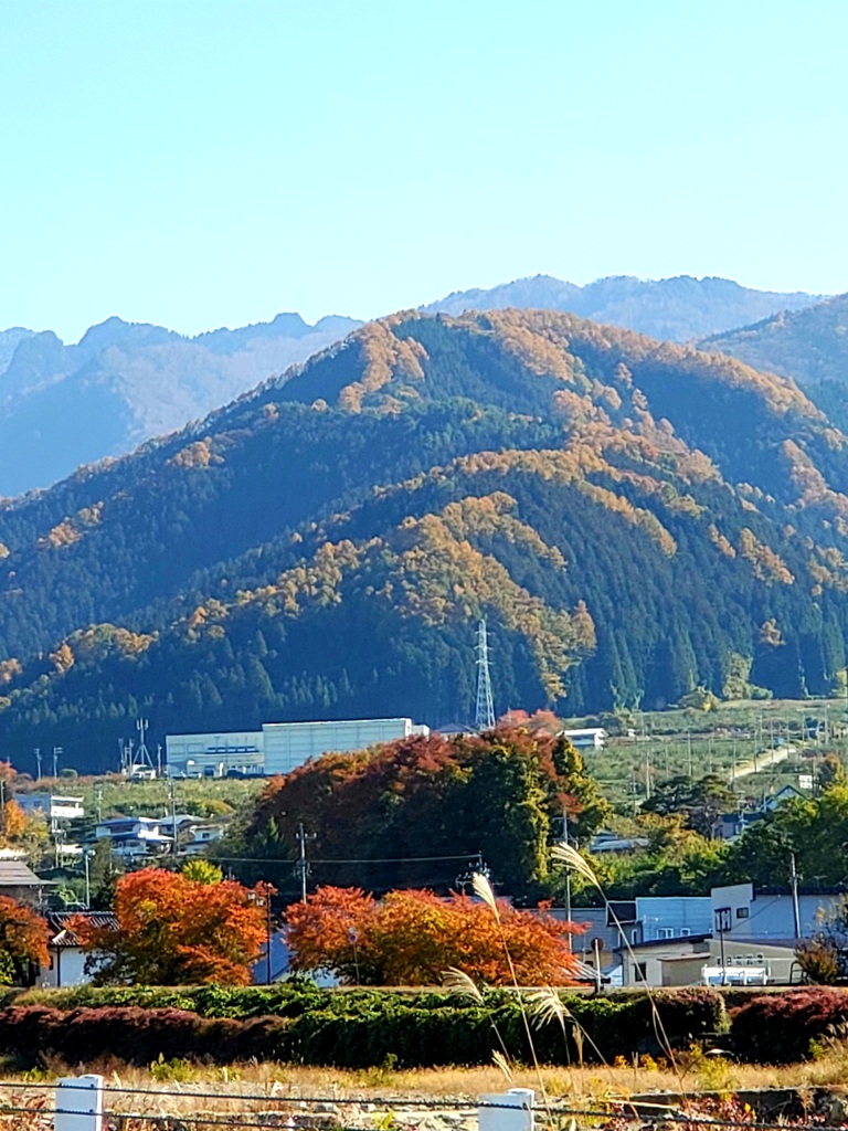 里山