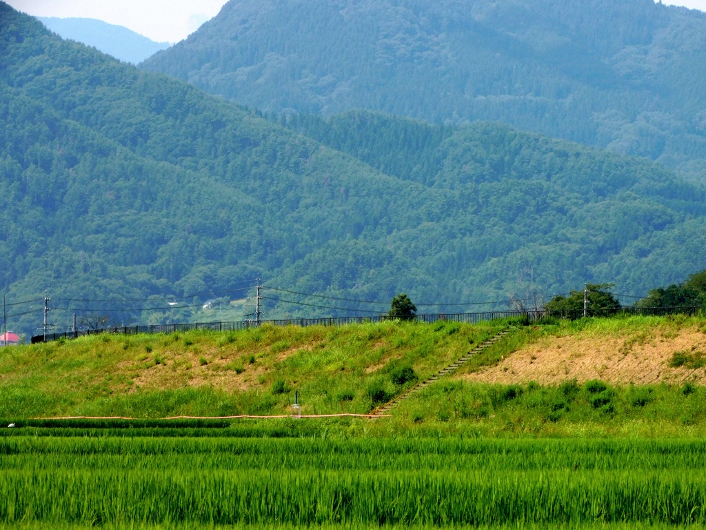 塩田平夏景