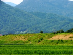 塩田平夏景