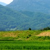 塩田平夏景
