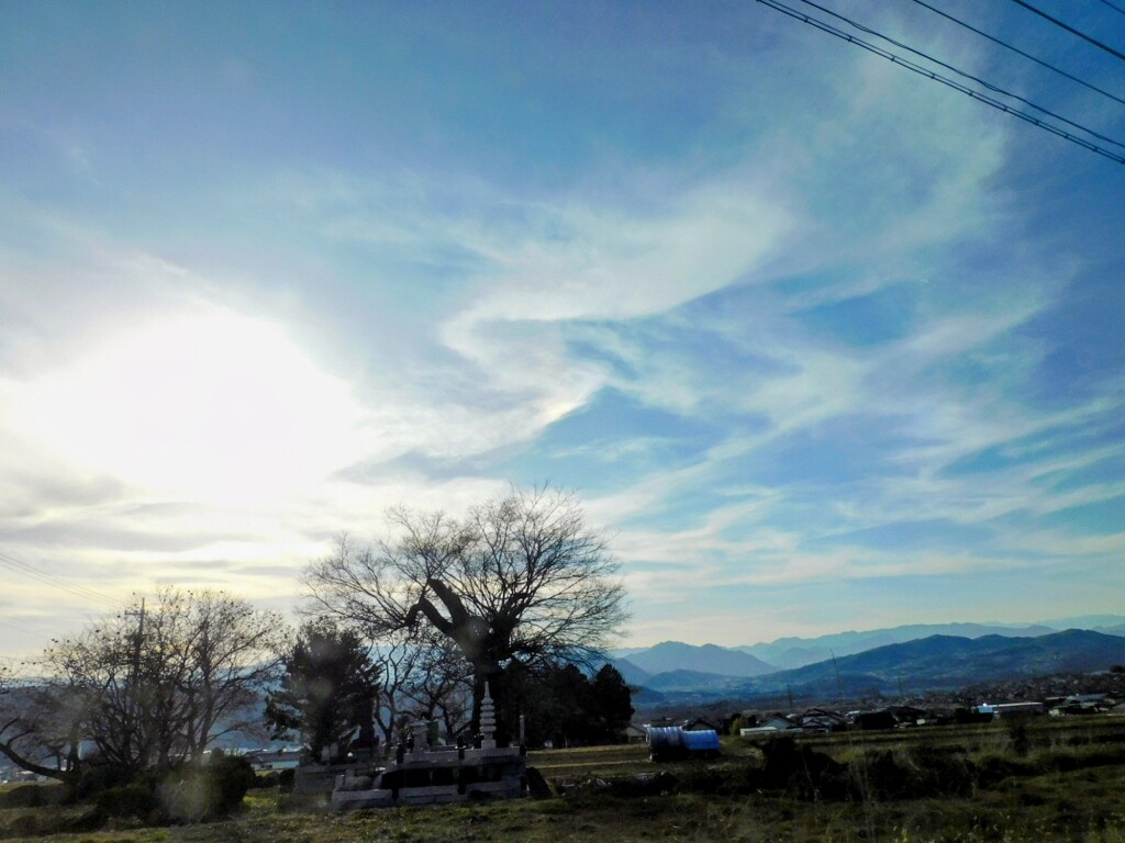 今日も素敵な1日になりますように！