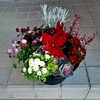 冬の寄せ植え