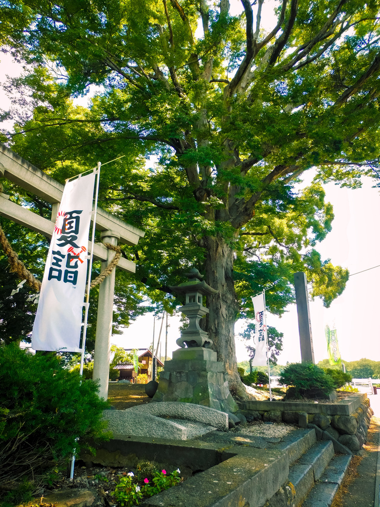 夏詣