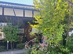 秋明菊に癒されて