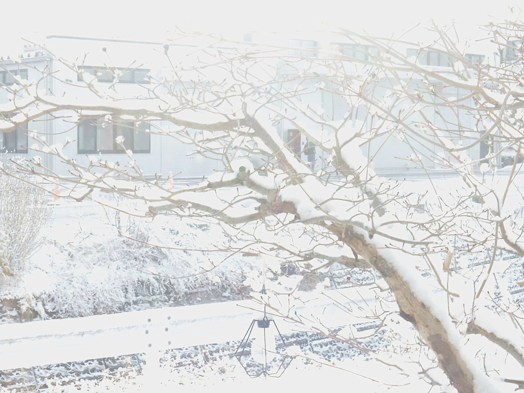 雪の日