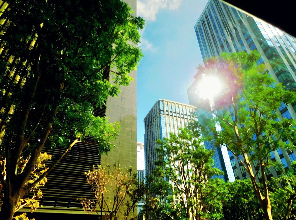 新宿の街