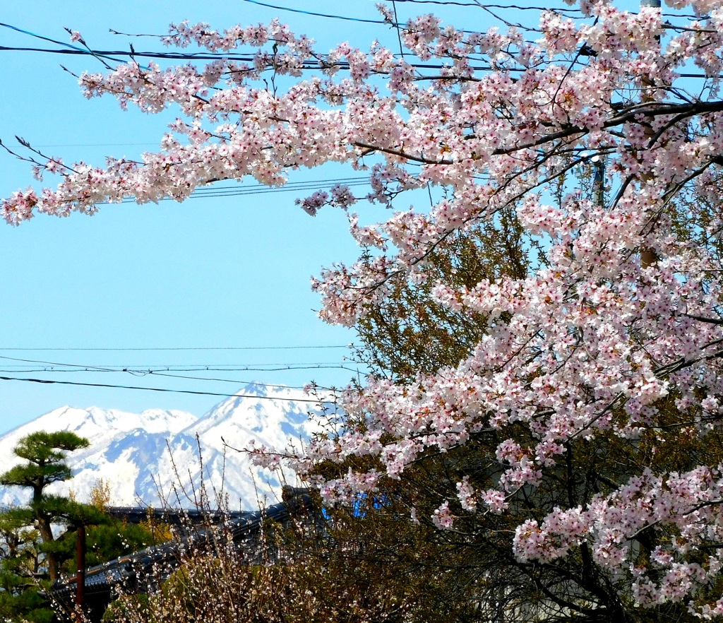 山を望む