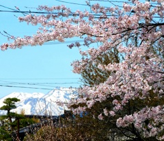 山を望む