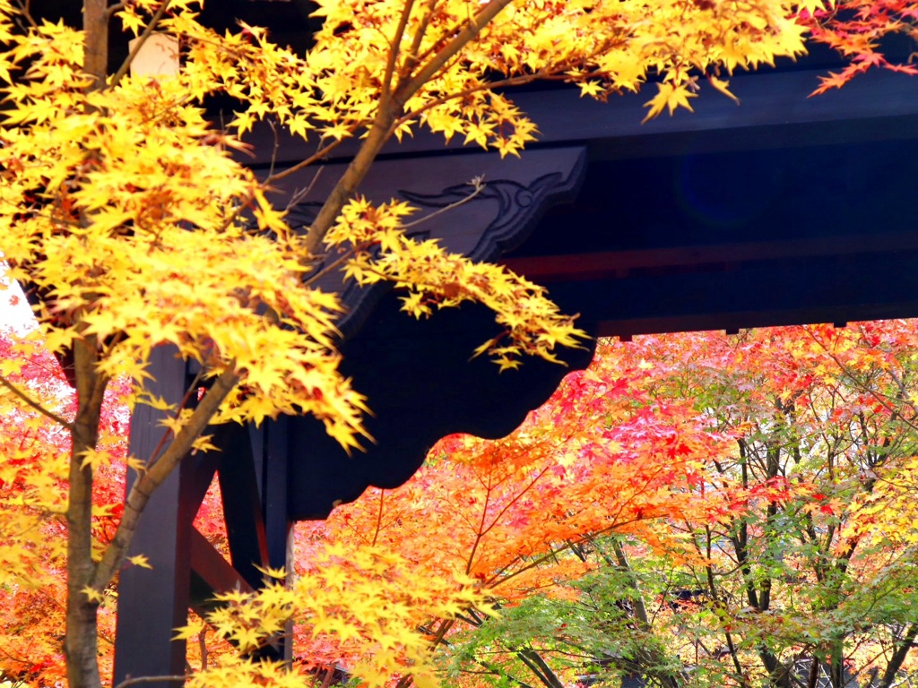 山寺の紅葉