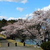 明神池春景