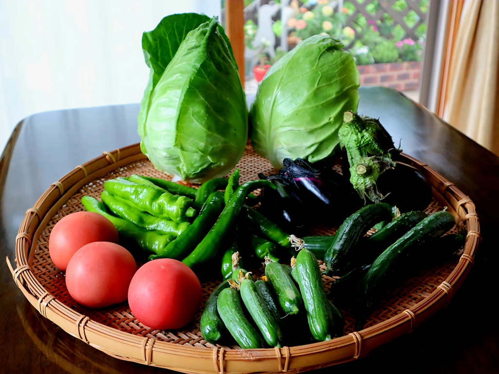 夏野菜届く