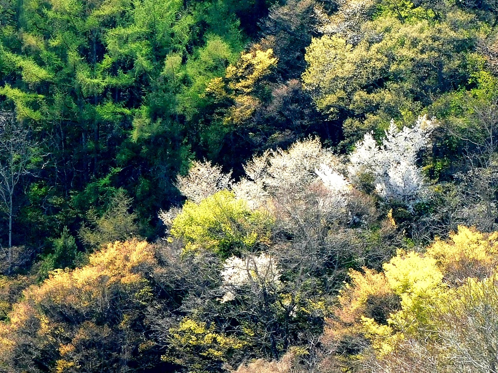 川辺