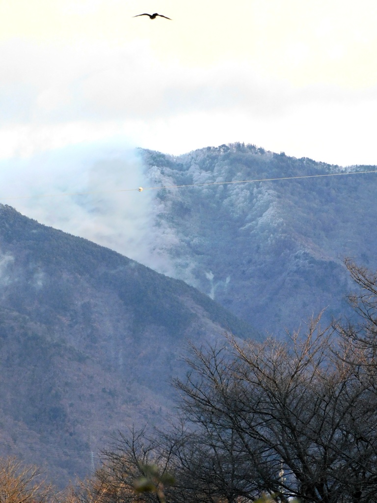 山は雪模様