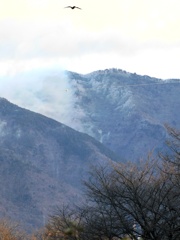 山は雪模様