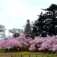 高梨館跡公園