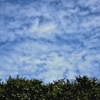 鱗雲
