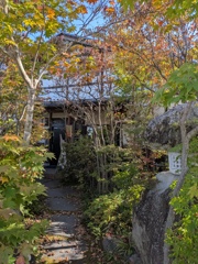 色づき始めました