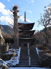 未完成の完成塔