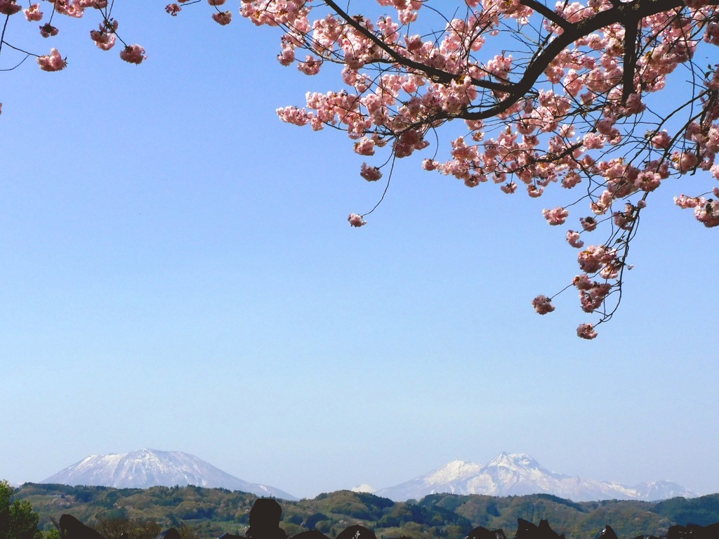 小布施桜堤