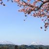 小布施桜堤