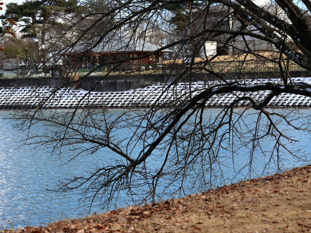 雪の降り始める頃