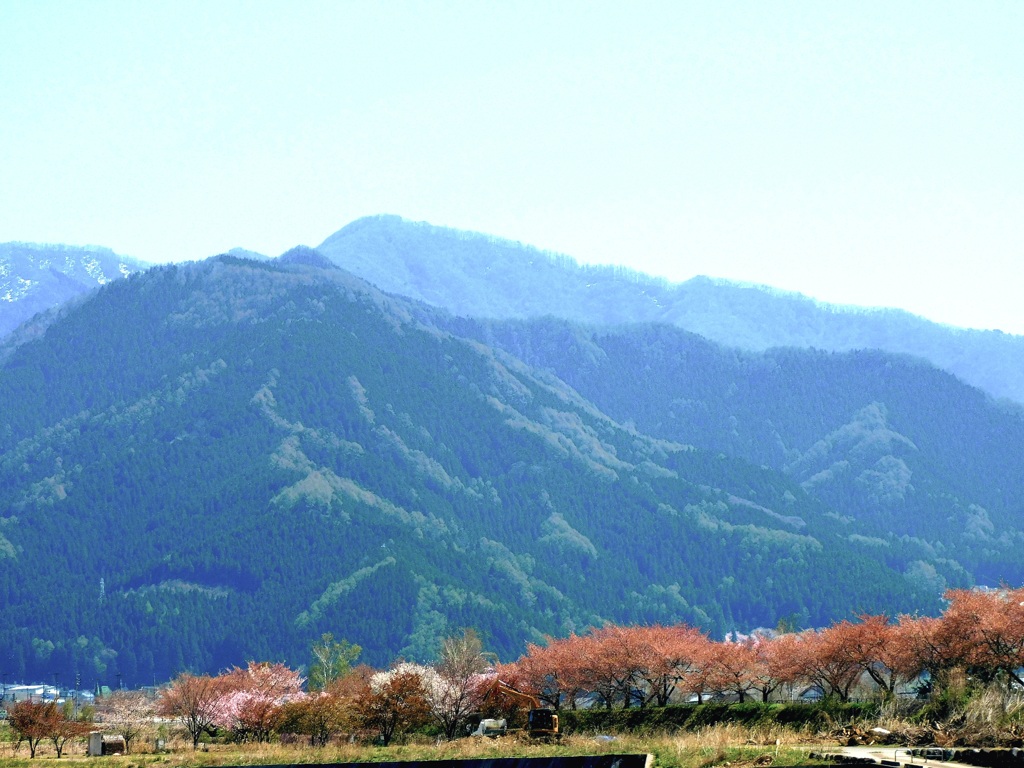 里山の春